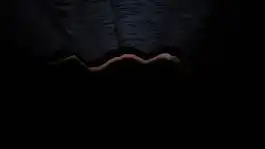 Curtain