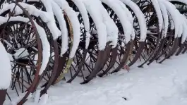 Rims