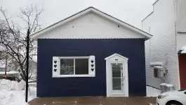 Blue Hearts